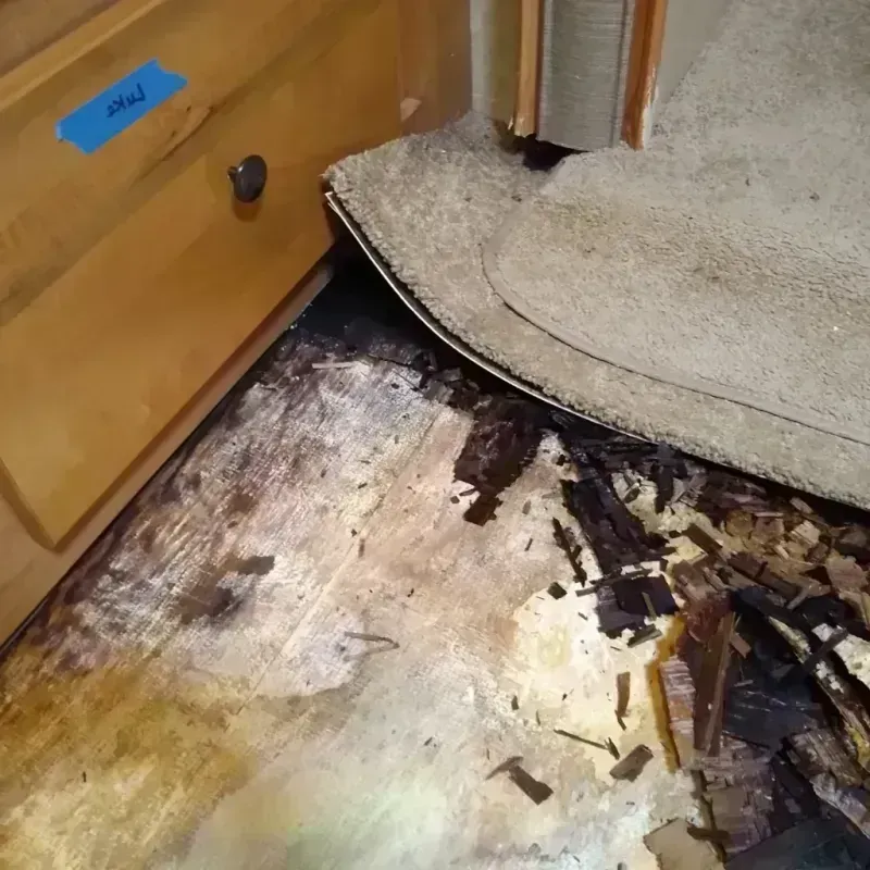 Best Wood Floor Water Damage Service in Chalco, NE